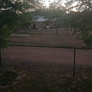 Meet your Posher, Dennis